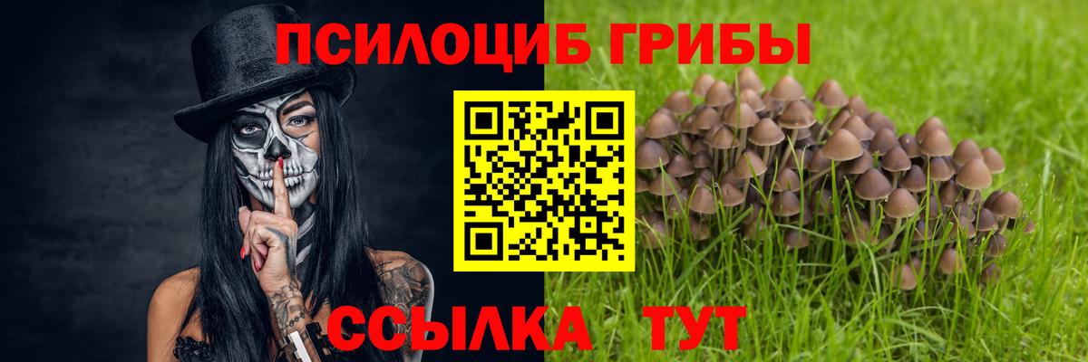 Псилоцибиновые грибы мицелий Елабуга
